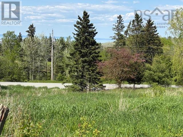 216 West Brooklyn Mountain, West Brooklyn, Nova Scotia  B4P 2R3 - Photo 6 - 202512806