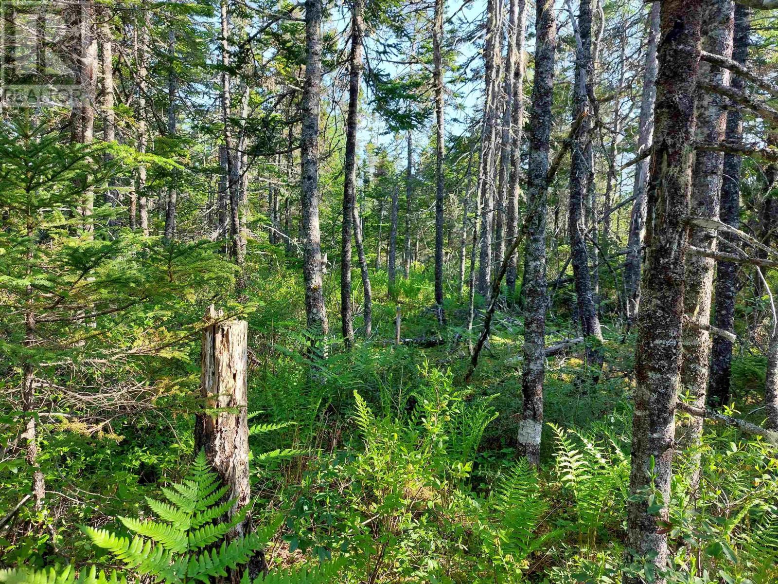 Lot B1 Katja Rose Dr, Hay Cove, Nova Scotia  B0E 3B0 - Photo 8 - 202510596