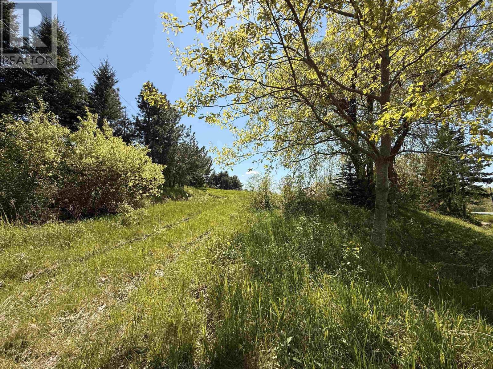 216 West Brooklyn Mountain, West Brooklyn, Nova Scotia  B4P 2R3 - Photo 8 - 202512806