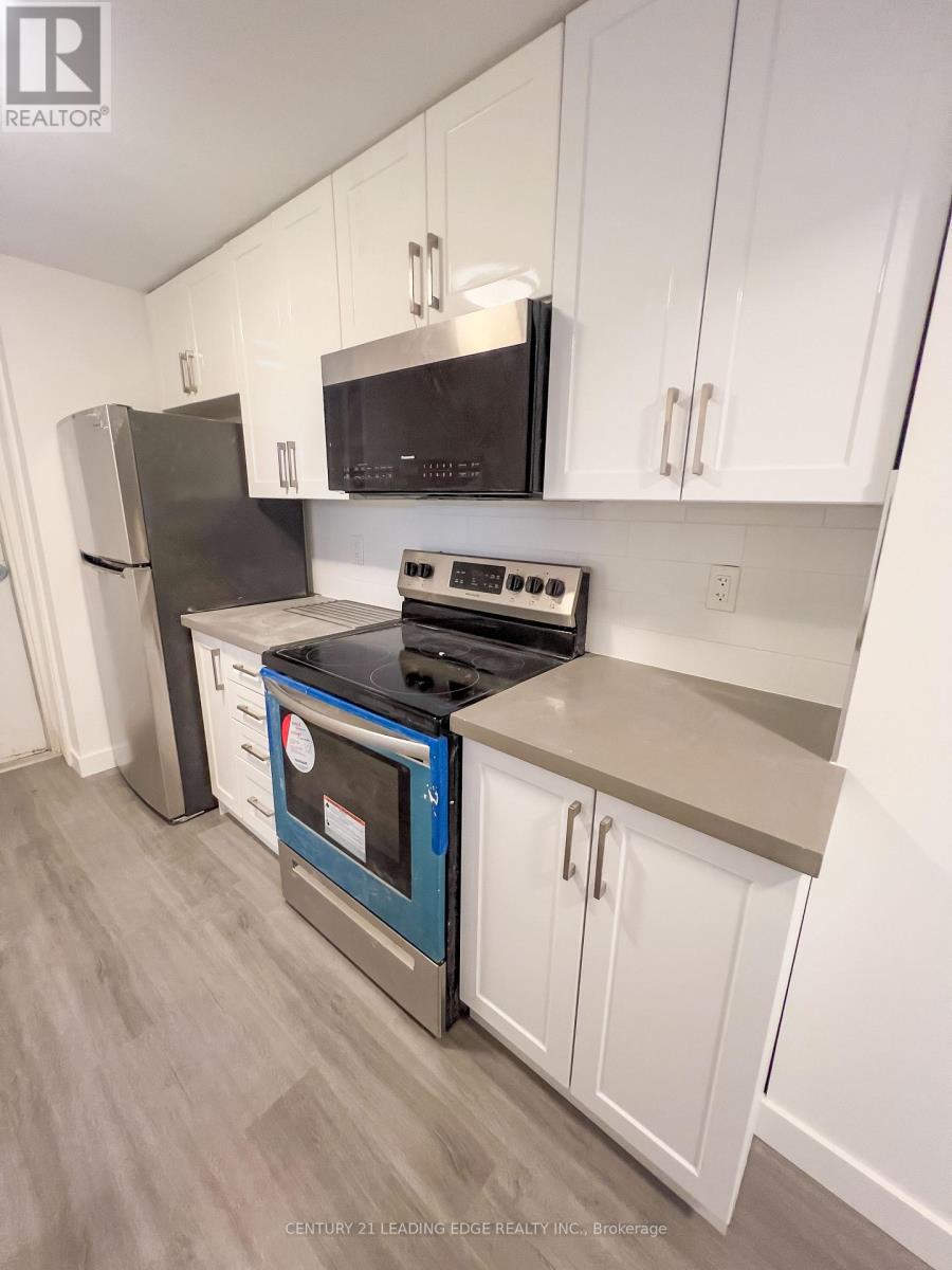 Lower - 1a Leonard Avenue, Toronto, Ontario  M5T 2P8 - Photo 8 - C12298241