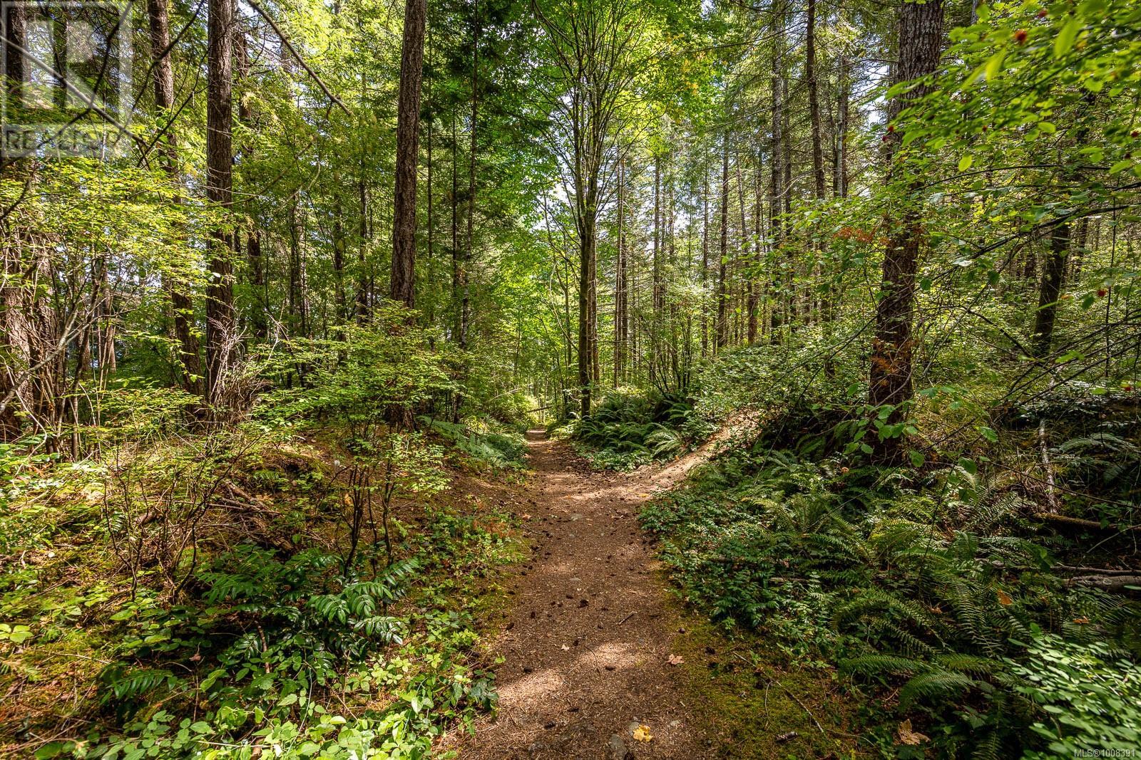 Lt 15 Serenity Dr, Merville, British Columbia  V0R 2M0 - Photo 13 - 1008391