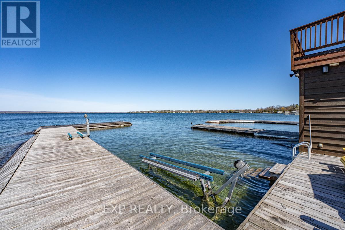 229 Lake Drive N, Georgina, Ontario  L4P 3C8 - Photo 36 - N12312314