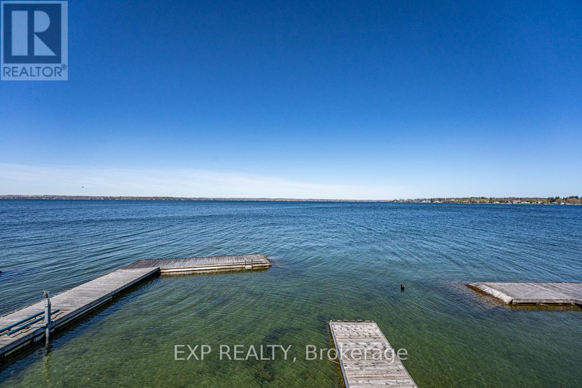 229 Lake Drive N, Georgina, Ontario  L4P 3C8 - Photo 37 - N12312314