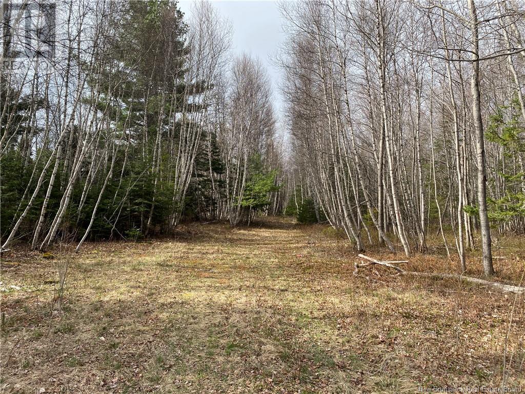 Lot Route 505, Richibouctou-Village, New Brunswick