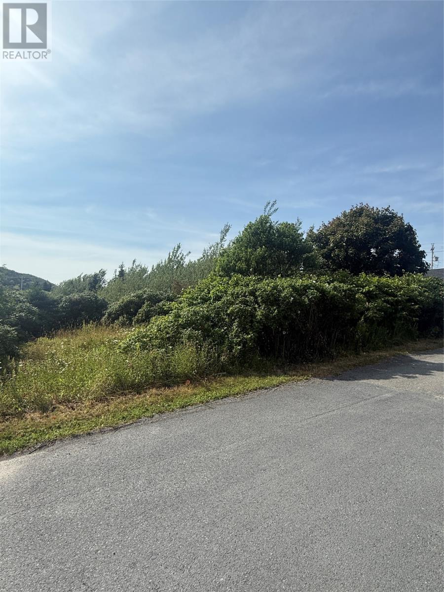6-8 Tunis Street, Placentia, Newfoundland & Labrador  A0B 2Y0 - Photo 2 - 1288430