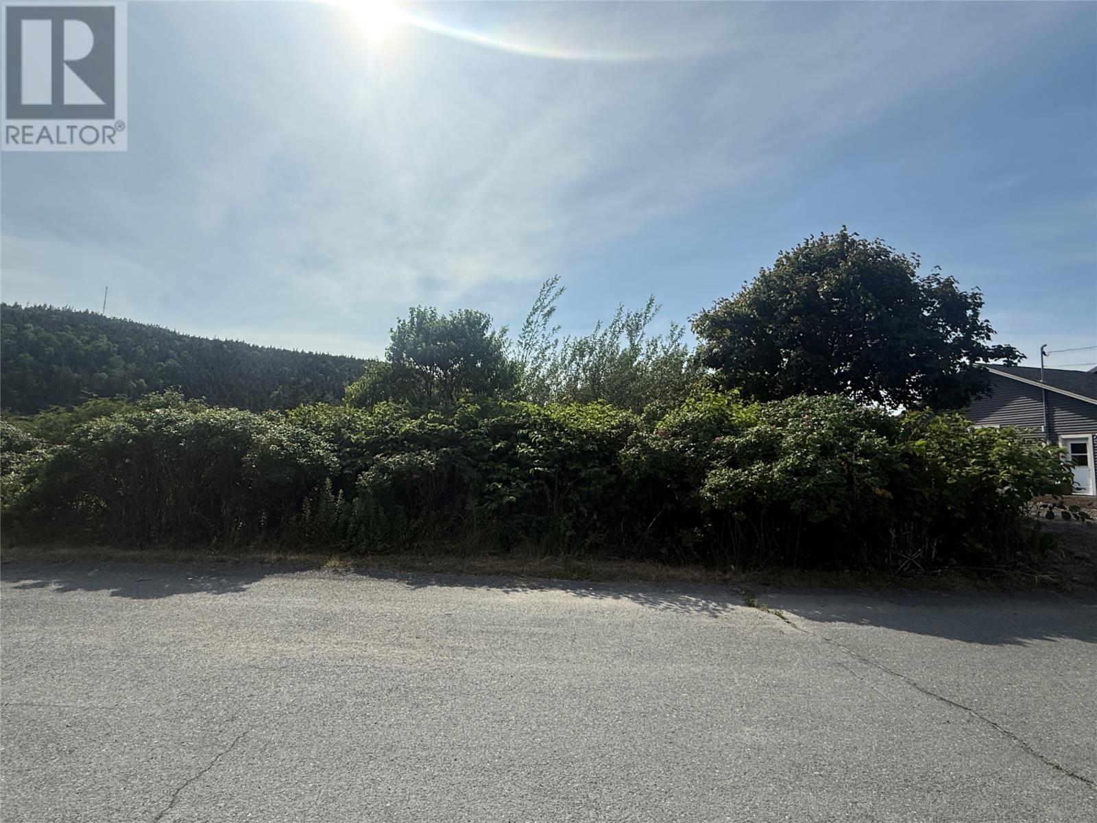 6-8 Tunis Street, Placentia, Newfoundland & Labrador  A0B 2Y0 - Photo 3 - 1288430
