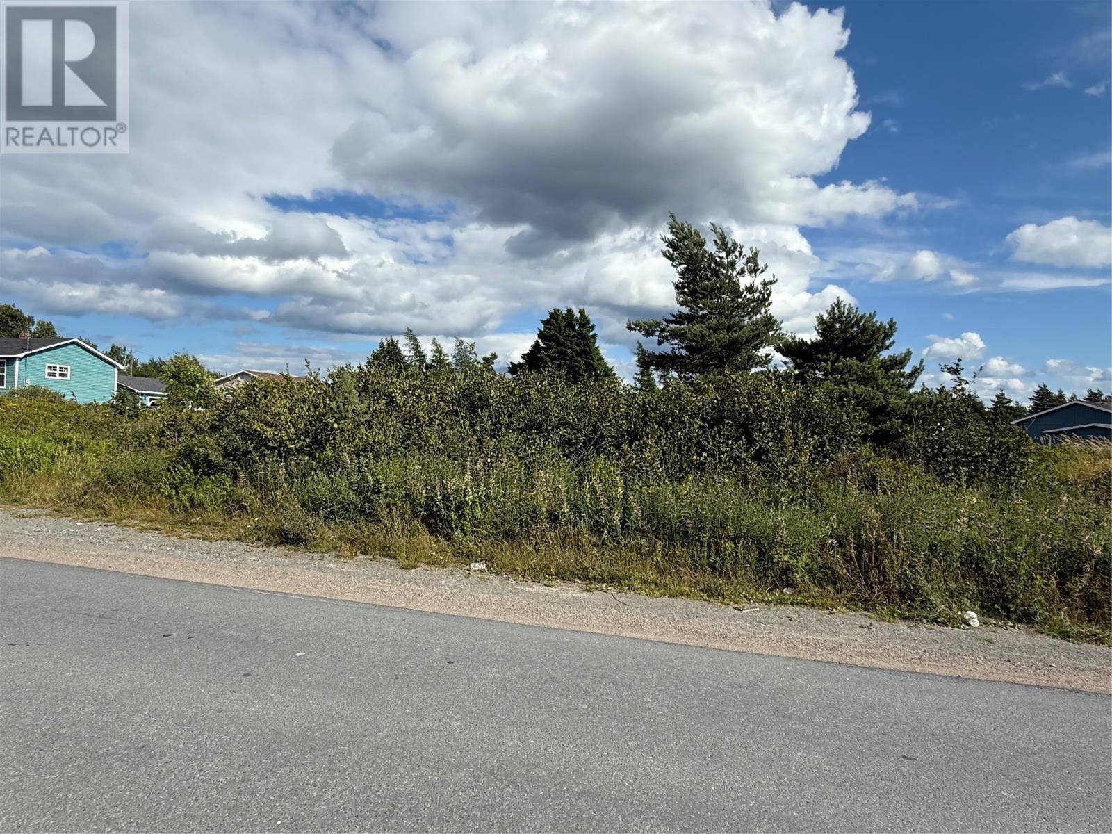 16 Neck Road, Bay Roberts, Newfoundland & Labrador  A0A 1G0 - Photo 1 - 1288357