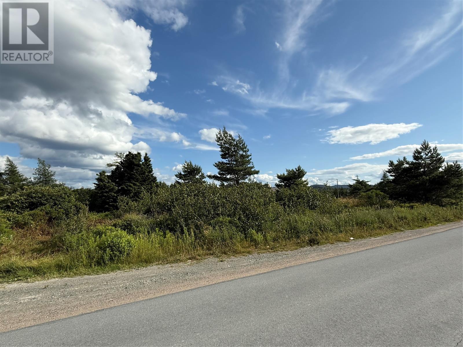 16 Neck Road, Bay Roberts, Newfoundland & Labrador  A0A 1G0 - Photo 2 - 1288357
