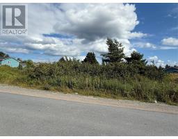 16 Neck Road, Bay Roberts, Newfoundland & Labrador