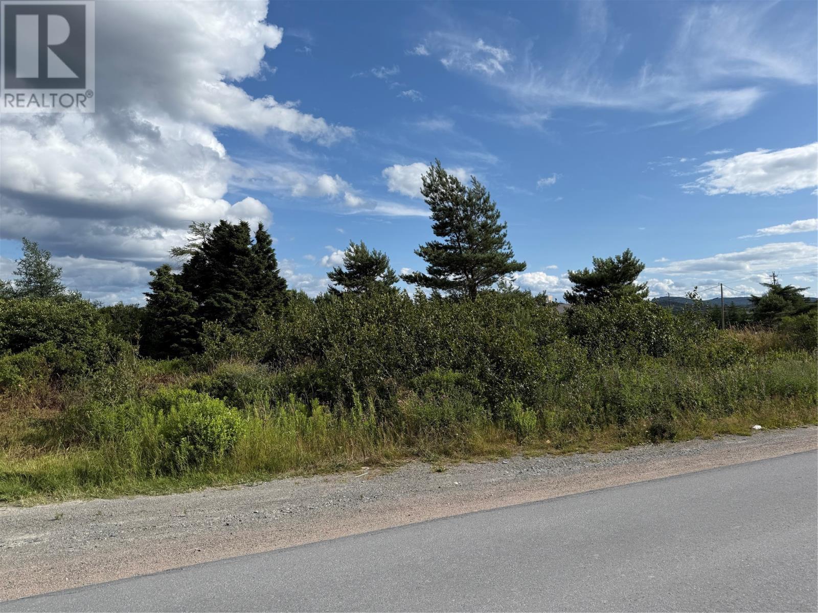 14 Neck Road, Bay Roberts, Newfoundland & Labrador  A0A 1G0 - Photo 2 - 1288356