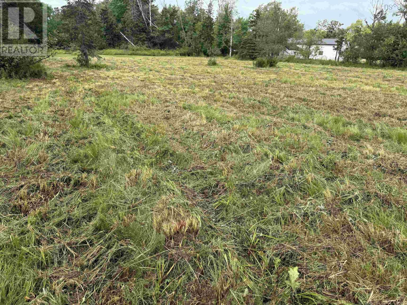Lot Pine Street, Tatamagouche, Nova Scotia  B0K 1V0 - Photo 8 - 202517415
