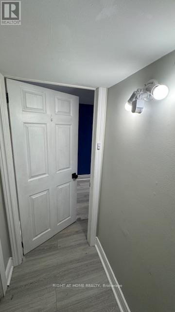 Basement Unit - 134 St. David's Road, St. Catharines, Ontario  L2T 1R1 - Photo 6 - X12312541