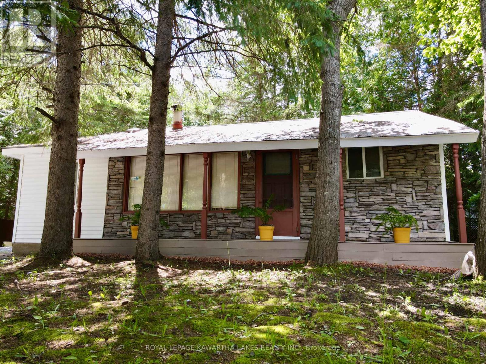 81 Mcguire Beach Road, Kawartha Lakes, Ontario  K0M 2B0 - Photo 10 - X12312657