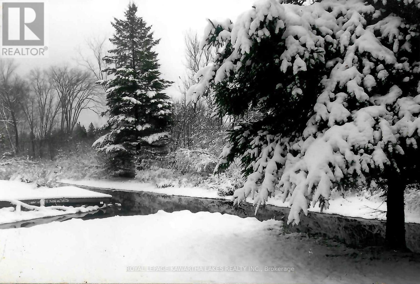 81 Mcguire Beach Road, Kawartha Lakes, Ontario  K0M 2B0 - Photo 13 - X12312657