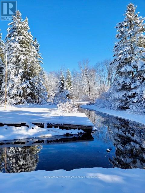 81 Mcguire Beach Road, Kawartha Lakes, Ontario  K0M 2B0 - Photo 15 - X12312657