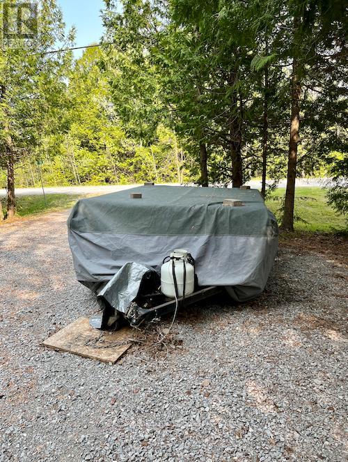 81 Mcguire Beach Road, Kawartha Lakes, Ontario  K0M 2B0 - Photo 37 - X12312657