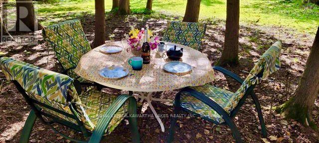 81 Mcguire Beach Road, Kawartha Lakes, Ontario  K0M 2B0 - Photo 40 - X12312657