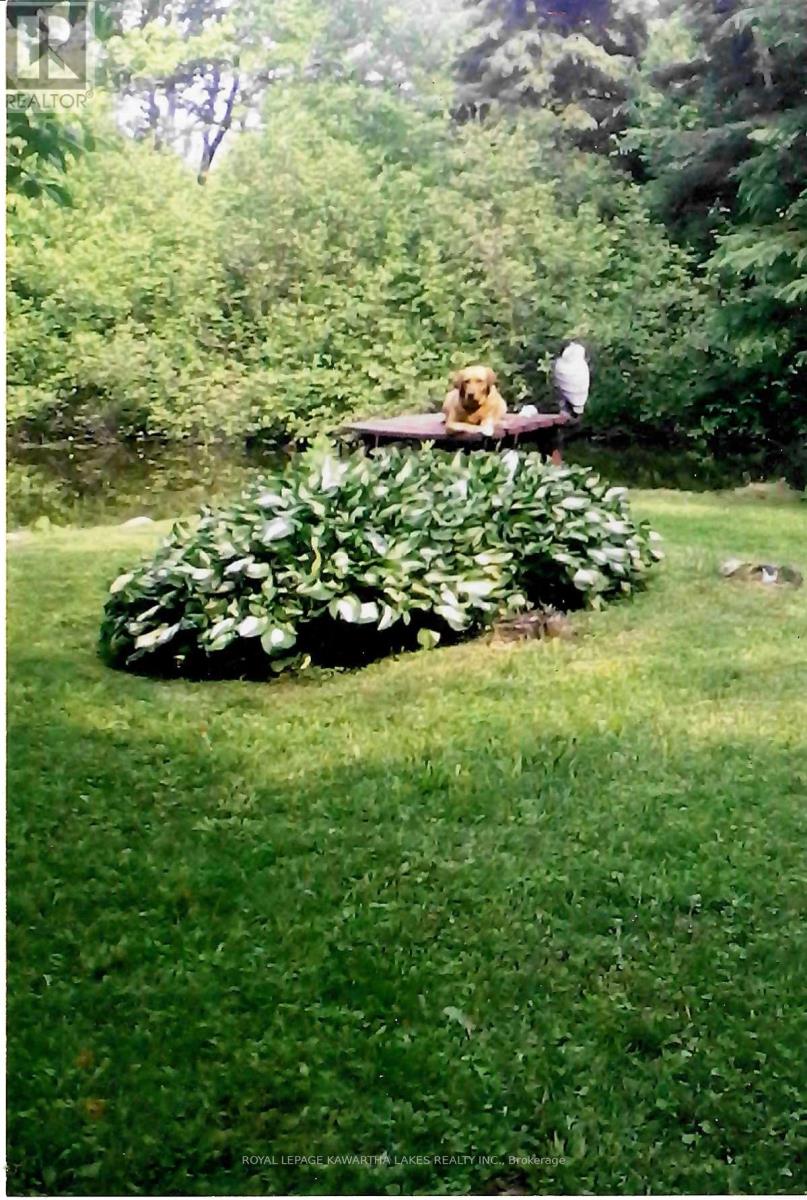 81 Mcguire Beach Road, Kawartha Lakes, Ontario  K0M 2B0 - Photo 41 - X12312657