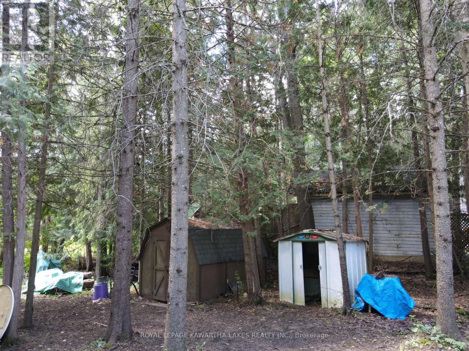 81 Mcguire Beach Road, Kawartha Lakes, Ontario  K0M 2B0 - Photo 43 - X12312657