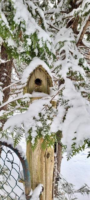 81 Mcguire Beach Road, Kawartha Lakes, Ontario  K0M 2B0 - Photo 45 - X12312657