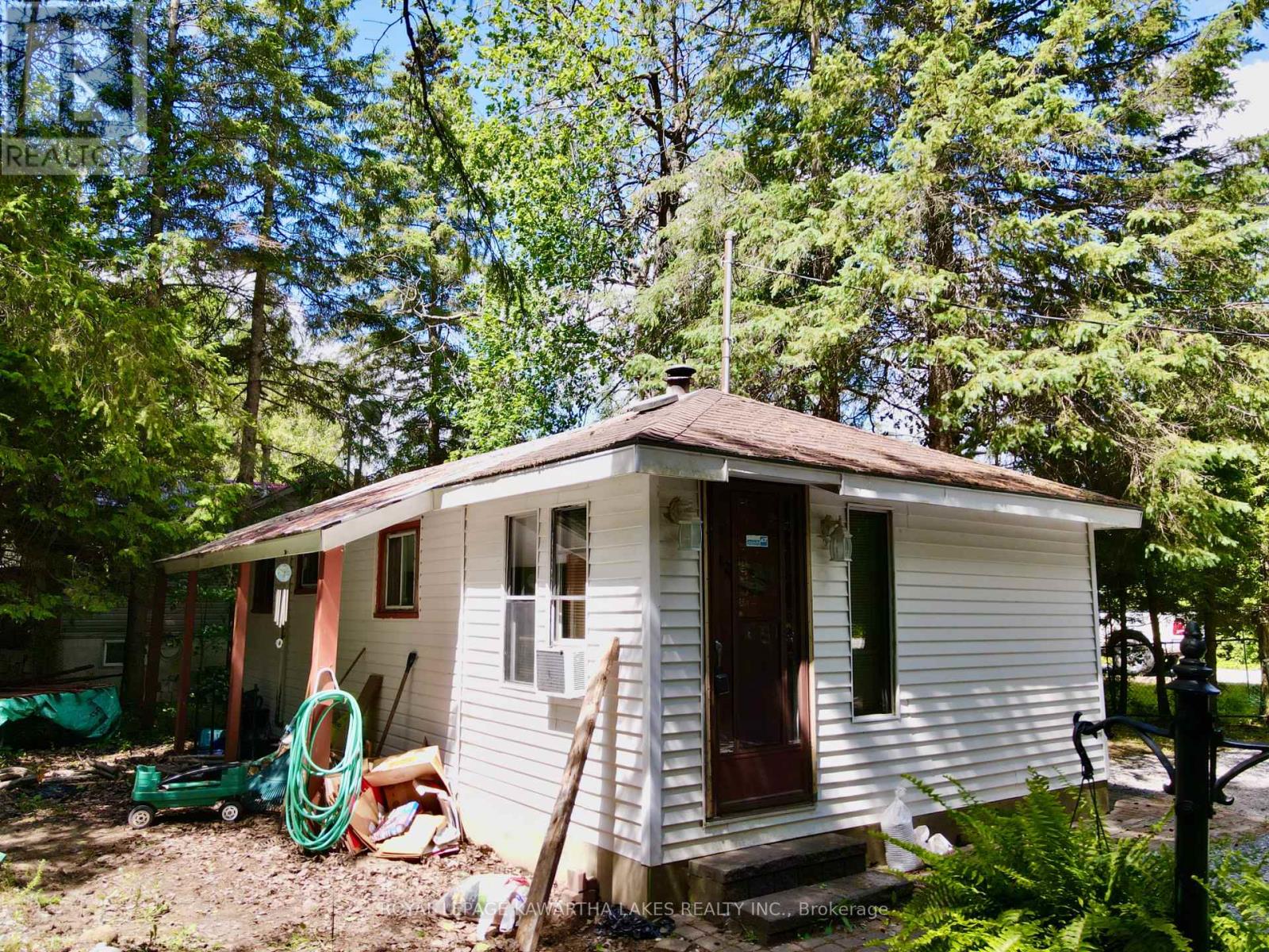 81 Mcguire Beach Road, Kawartha Lakes, Ontario  K0M 2B0 - Photo 47 - X12312657
