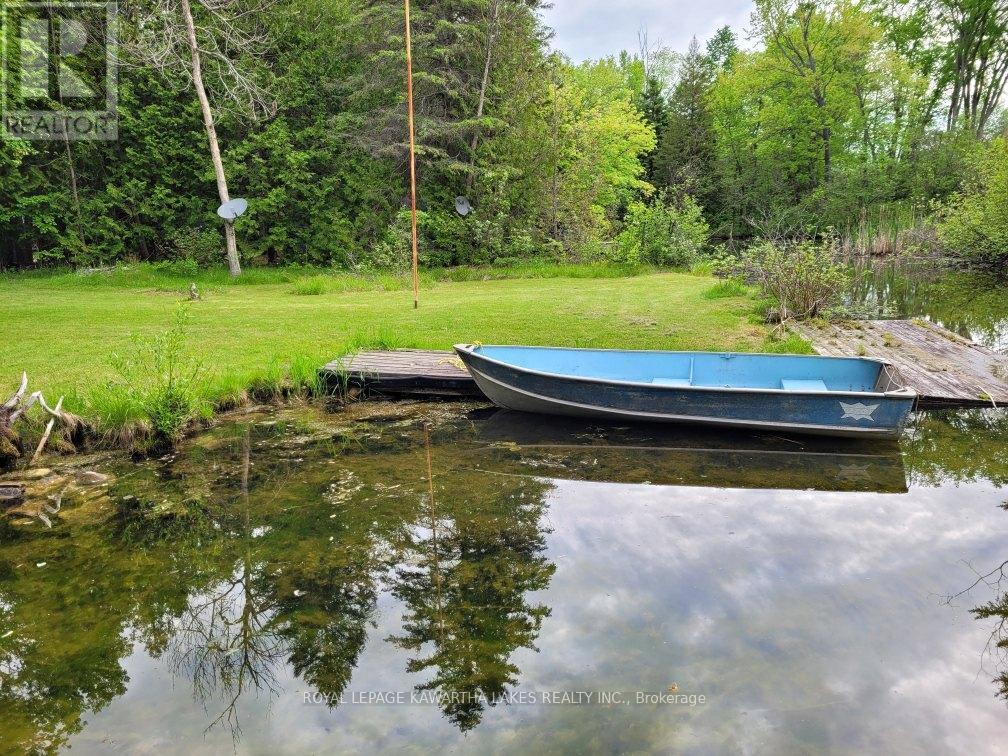 81 Mcguire Beach Road, Kawartha Lakes, Ontario  K0M 2B0 - Photo 6 - X12312657