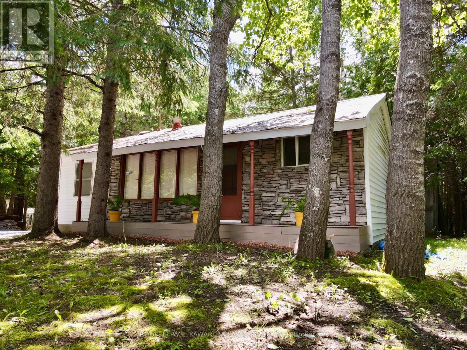 81 Mcguire Beach Road, Kawartha Lakes, Ontario  K0M 2B0 - Photo 7 - X12312657