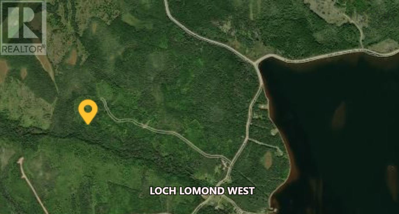 West Side Loch Lomond Road, Loch Lomond West, Nova Scotia  B2E 1C3 - Photo 16 - 202519024