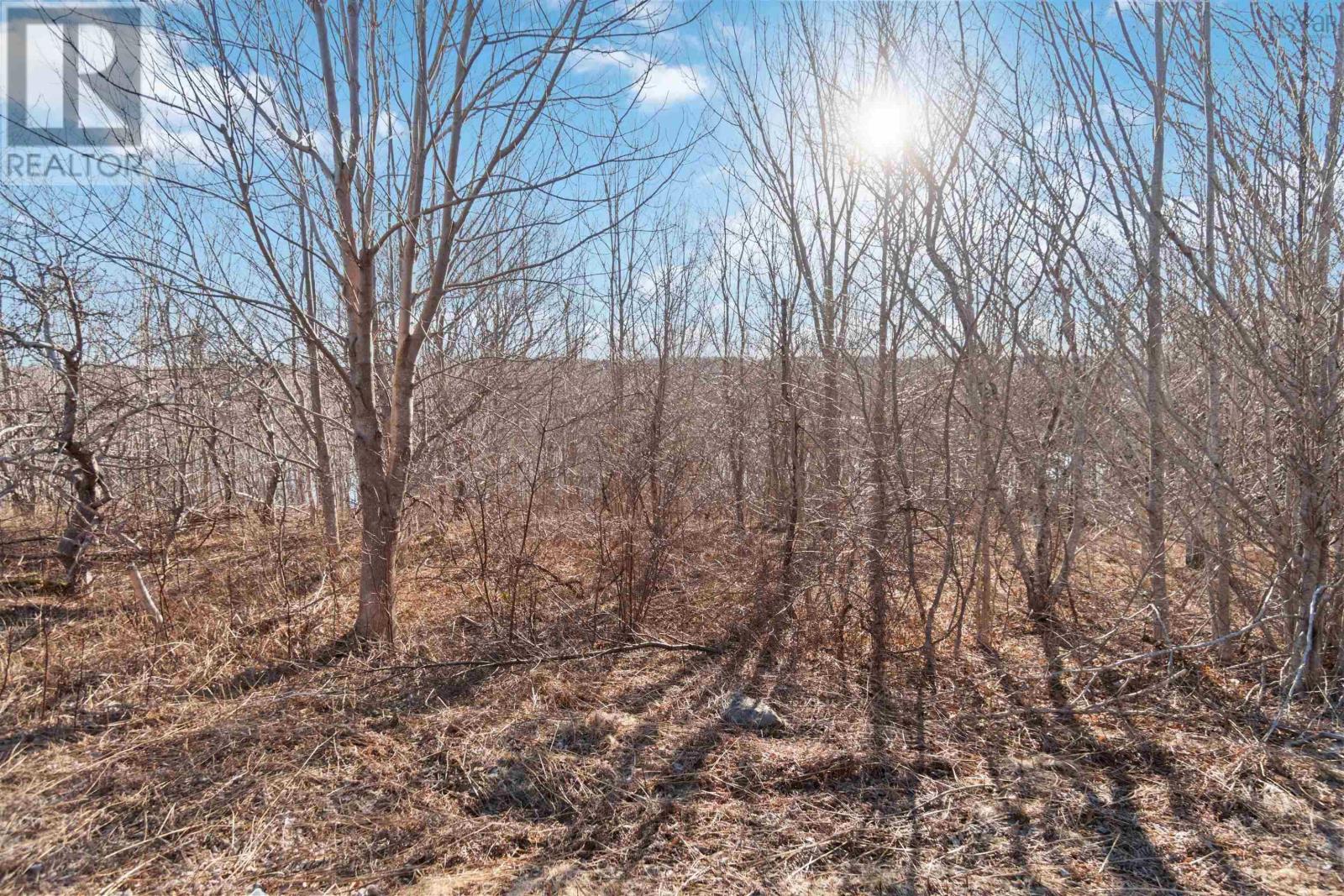 Lot 3 Riverside Road, New Edinburgh, Nova Scotia  B0W 3T0 - Photo 12 - 202507617