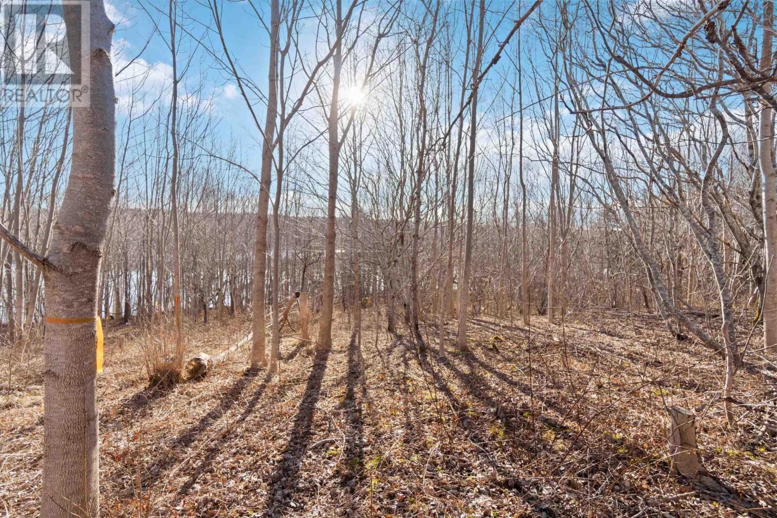Lot 3 Riverside Road, New Edinburgh, Nova Scotia  B0W 3T0 - Photo 14 - 202507617