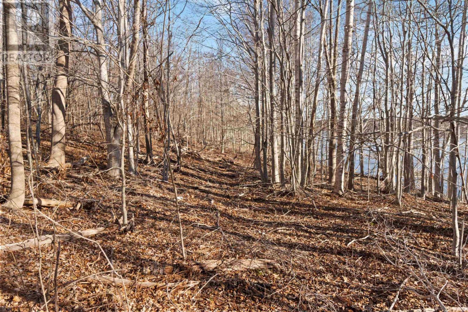 Lot 3 Riverside Road, New Edinburgh, Nova Scotia  B0W 3T0 - Photo 15 - 202507617