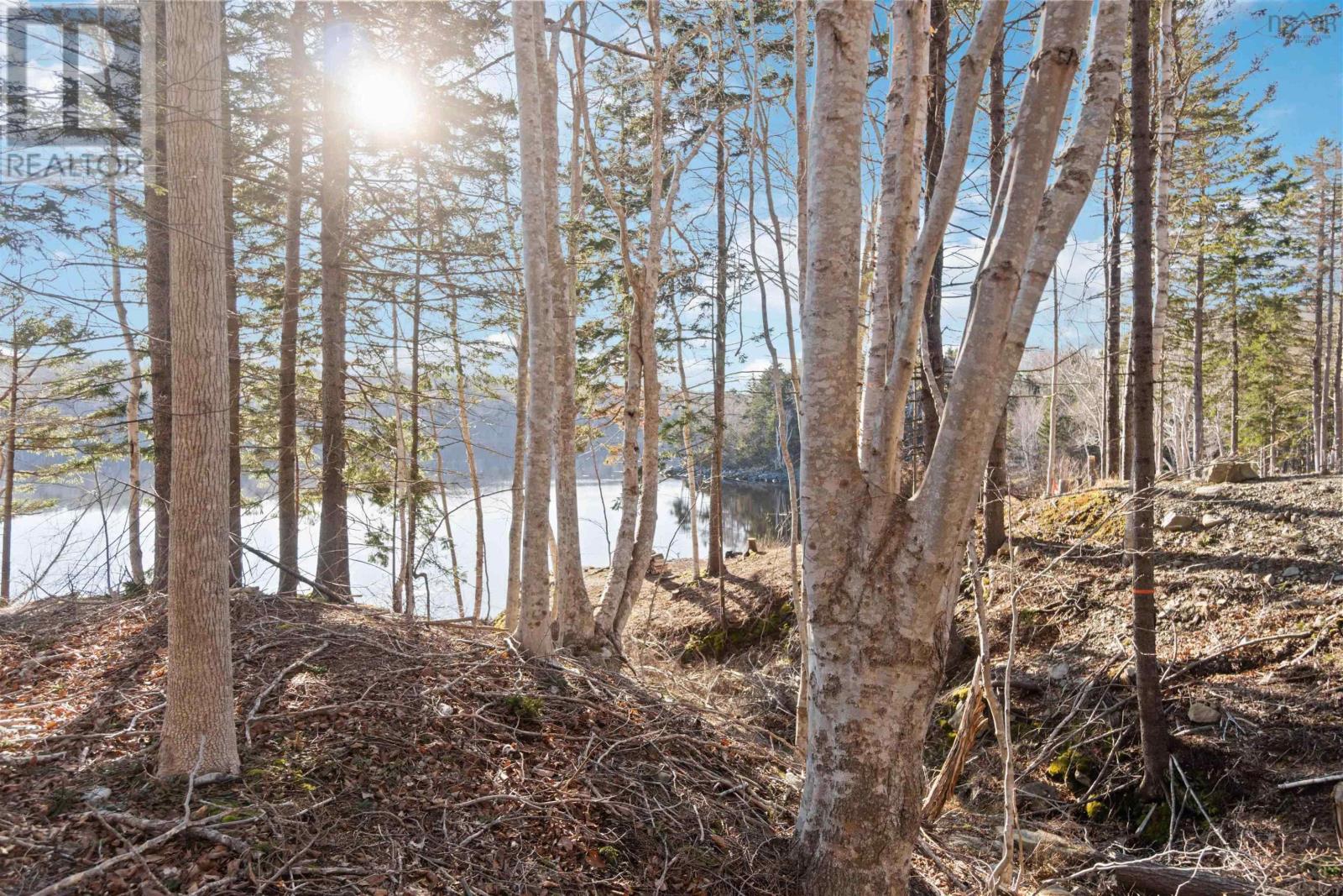 Lot 3 Riverside Road, New Edinburgh, Nova Scotia  B0W 3T0 - Photo 8 - 202507617