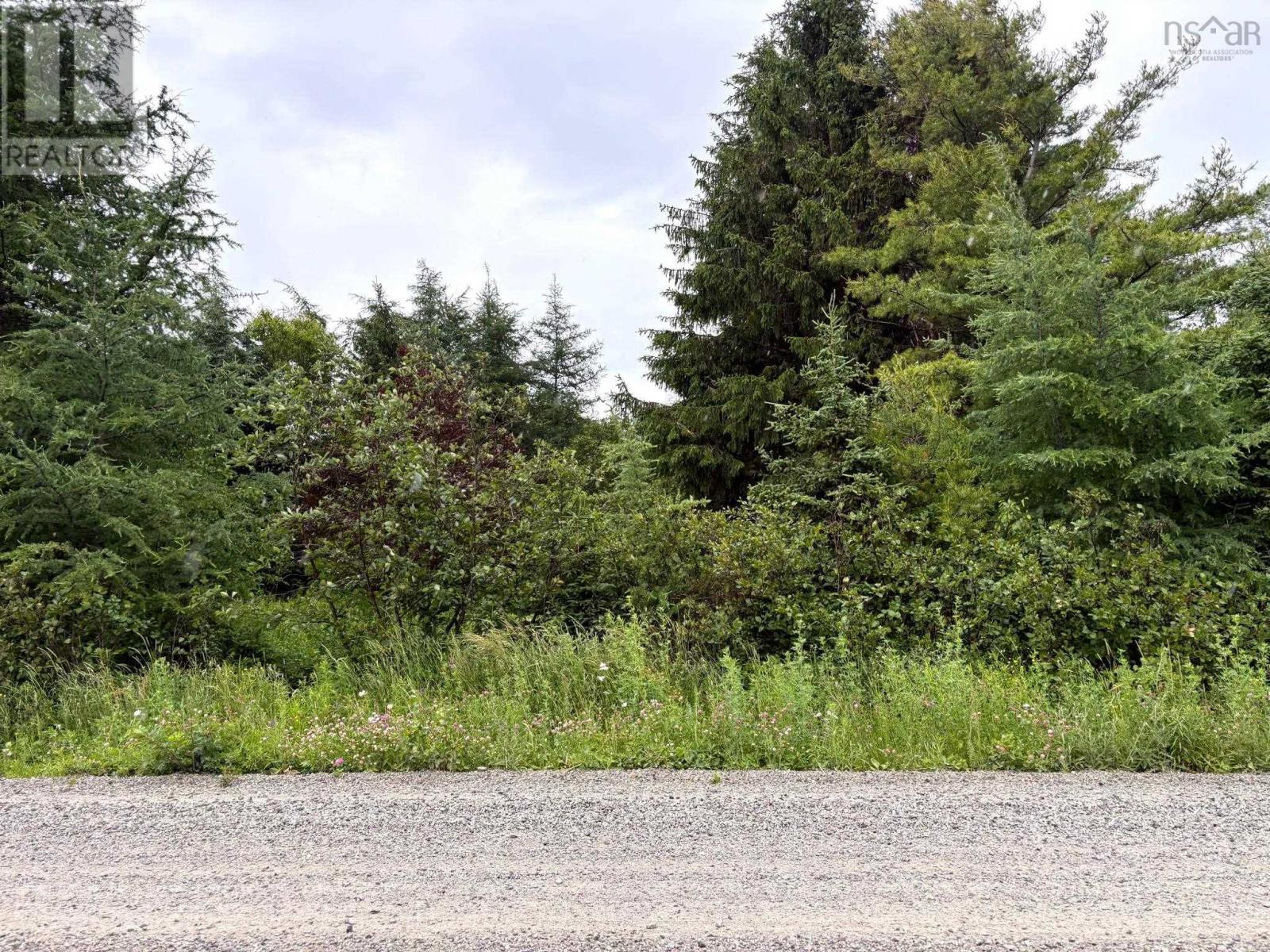 Upper Southwest Mabou Road, Glencoe Station, Nova Scotia  B0E 2W0 - Photo 1 - 202519026