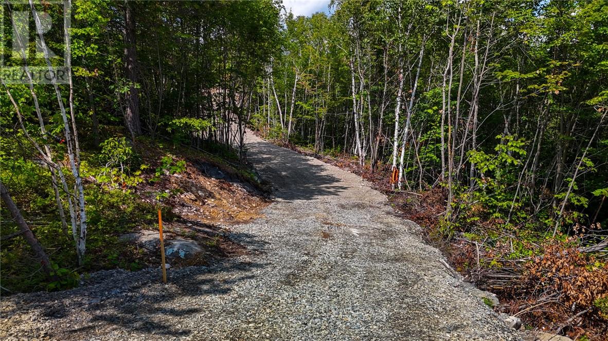 480 Pine Cone Road, Skead, Ontario  P0M 2Y0 - Photo 6 - 2123830