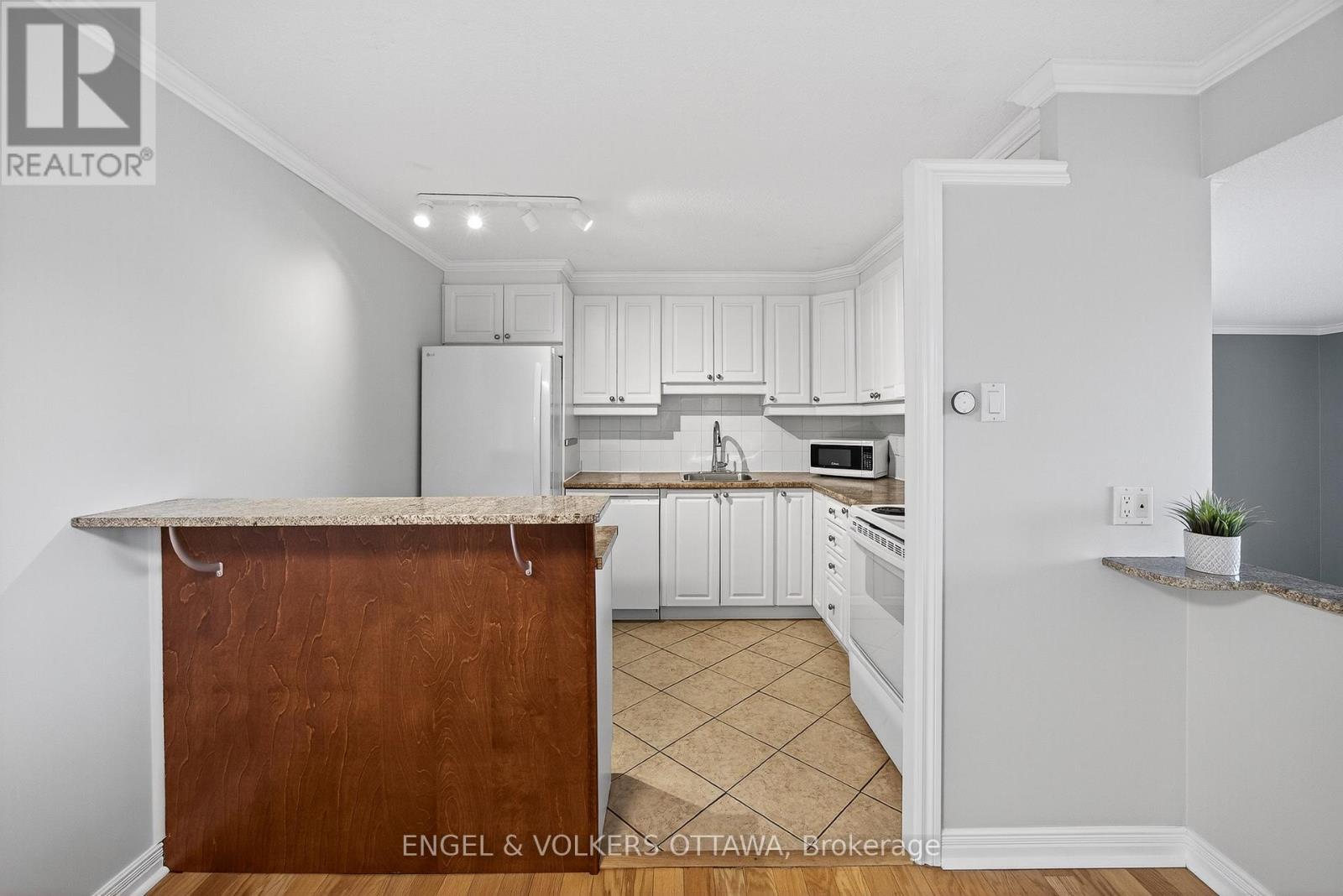 1006 - 1100 Ambleside Drive, Ottawa, Ontario  K2B 8G6 - Photo 7 - X12312891