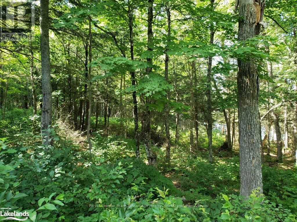 0 Part Lot 27 Concession 1, Mckellar, Ontario  P2A 2W7 - Photo 10 - X10900632