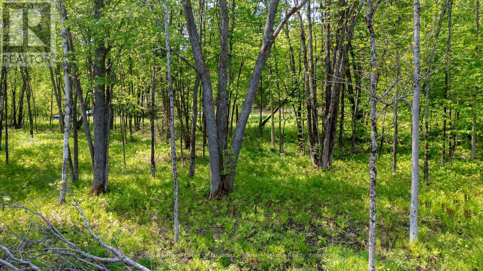 0 Maplehurst Road, Seguin, Ontario  P0C 1J0 - Photo 17 - X12150545