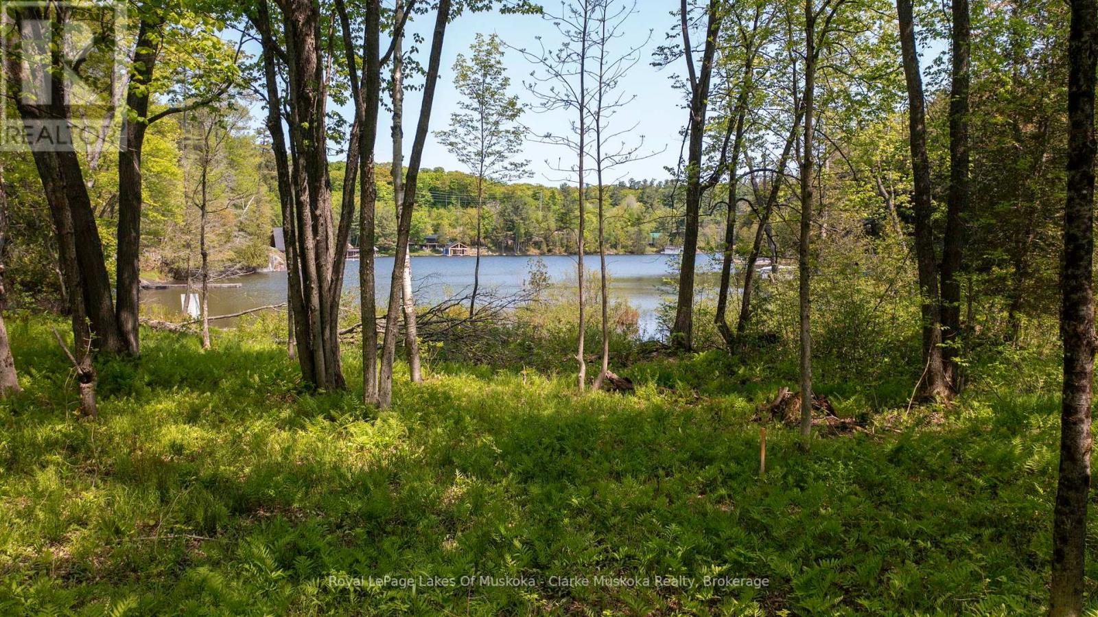 0 Maplehurst Road, Seguin, Ontario  P0C 1J0 - Photo 11 - X12150545