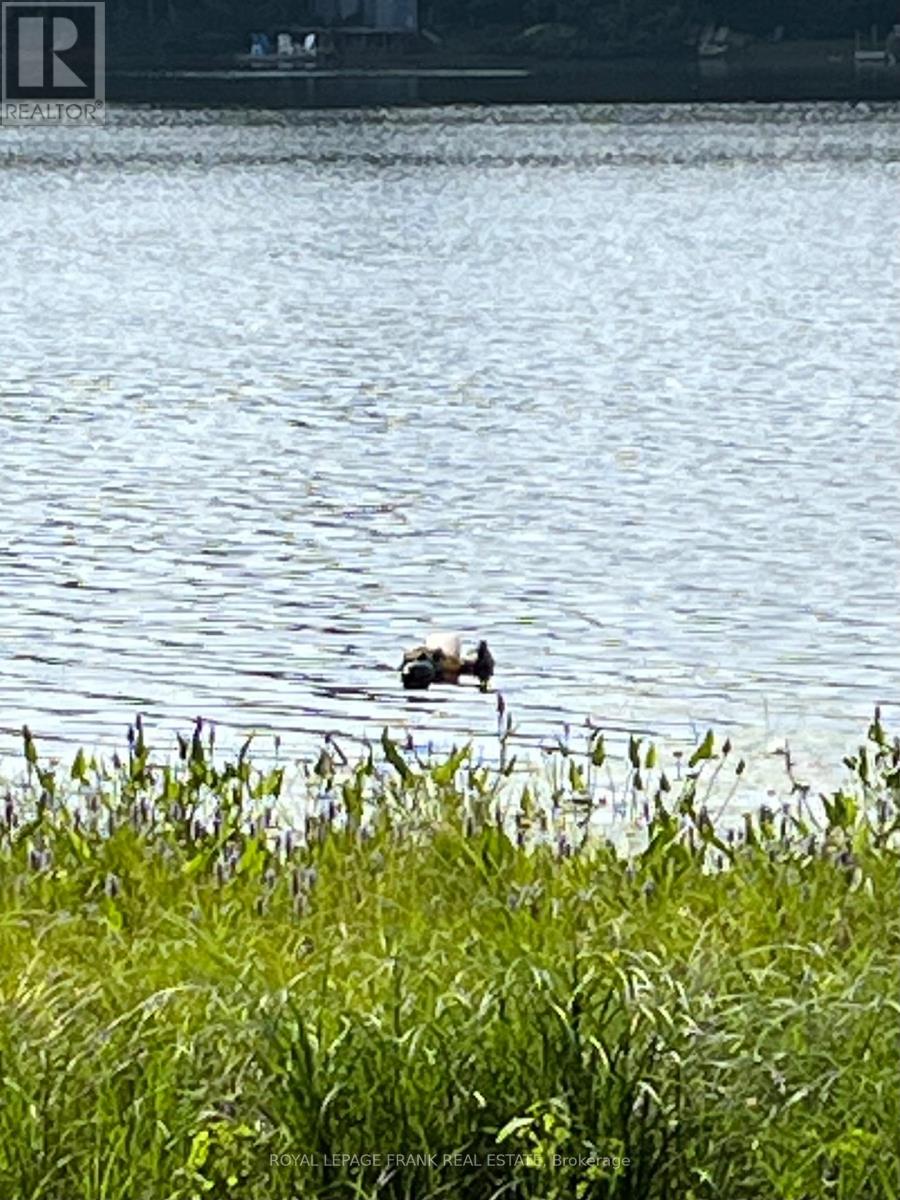 269 Siddon Lake Place, Faraday, Ontario  K0L 1C0 - Photo 23 - X12311863