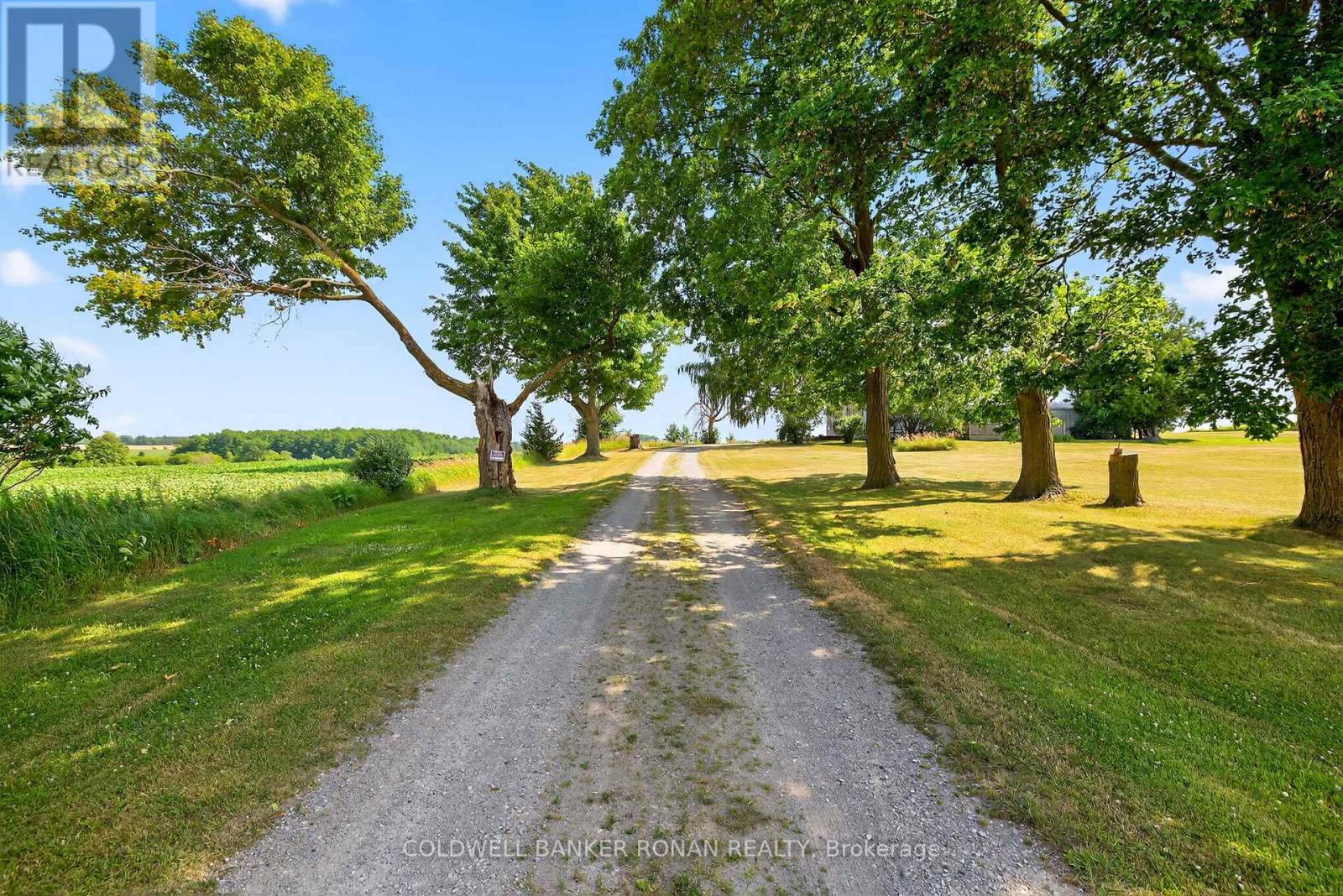 4495 Line 11, Bradford West Gwillimbury, Ontario  L0L 1L0 - Photo 2 - N12313038