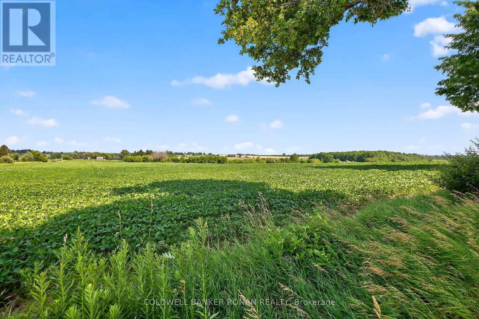 4495 Line 11, Bradford West Gwillimbury, Ontario  L0L 1L0 - Photo 20 - N12313038