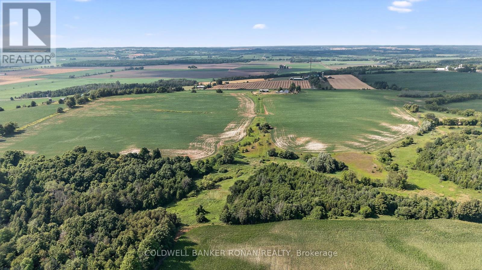 4495 Line 11, Bradford West Gwillimbury, Ontario  L0L 1L0 - Photo 24 - N12313038