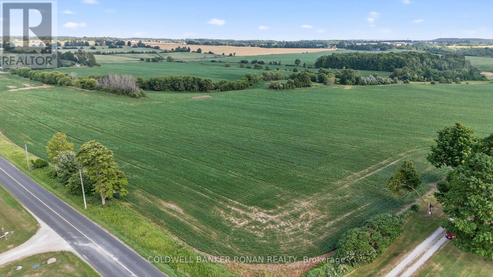 4495 Line 11, Bradford West Gwillimbury, Ontario  L0L 1L0 - Photo 28 - N12313041
