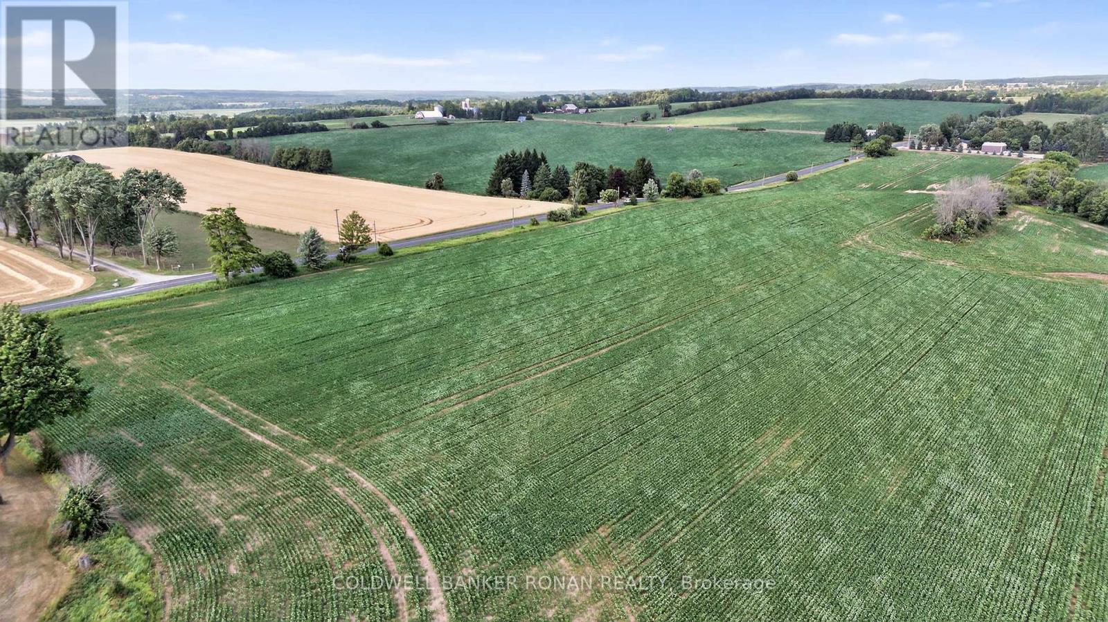 4495 Line 11, Bradford West Gwillimbury, Ontario  L0L 1L0 - Photo 32 - N12313041