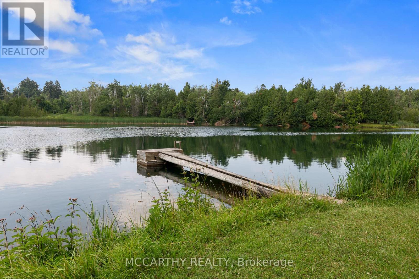 21 Mccutcheon Road, Mulmur, Ontario  L9V 3E8 - Photo 15 - X12313094