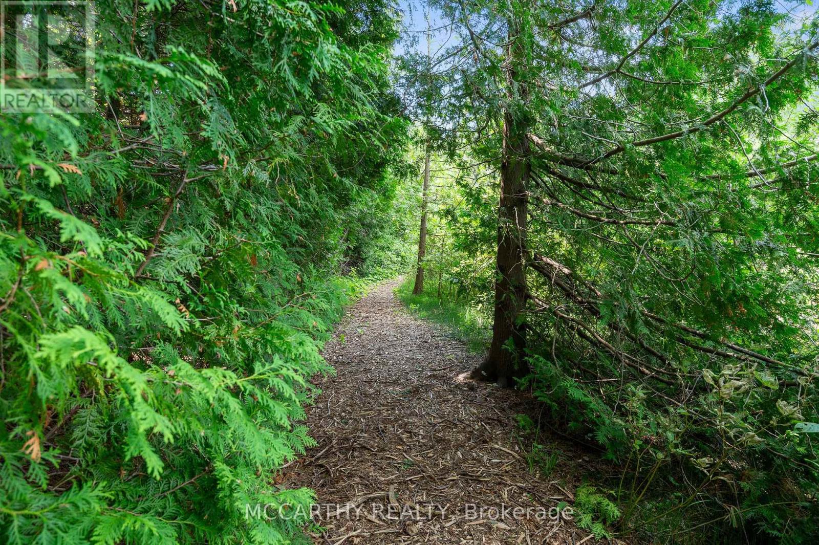 21 Mccutcheon Road, Mulmur, Ontario  L9V 3E8 - Photo 18 - X12313094