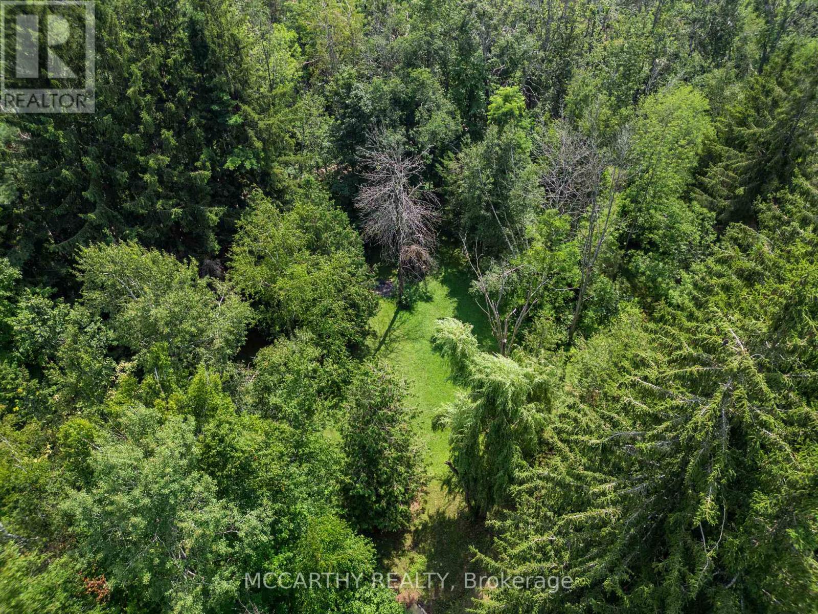 21 Mccutcheon Road, Mulmur, Ontario  L9V 3E8 - Photo 50 - X12313094