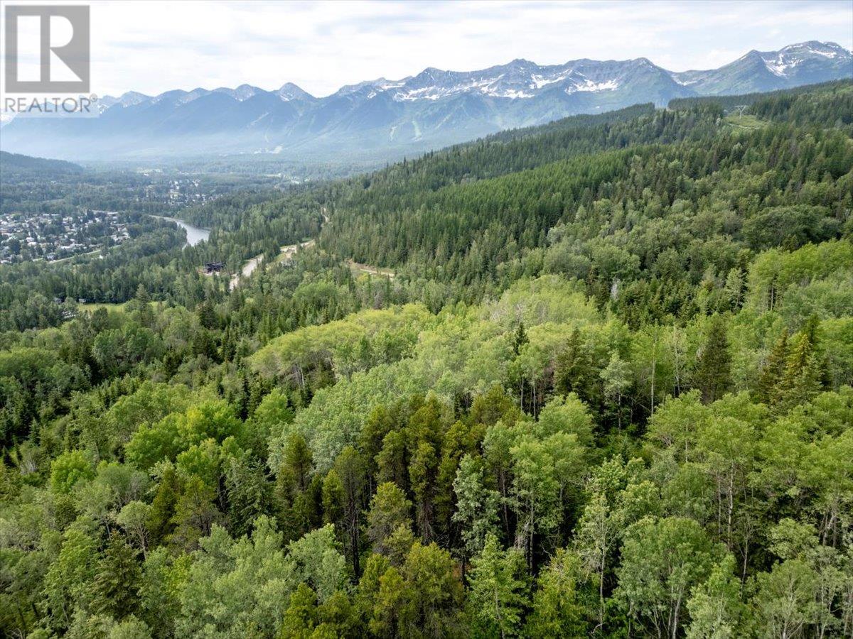 500 Burma Road Lot# 20, Fernie, British Columbia  V0B 1M0 - Photo 4 - 10355186