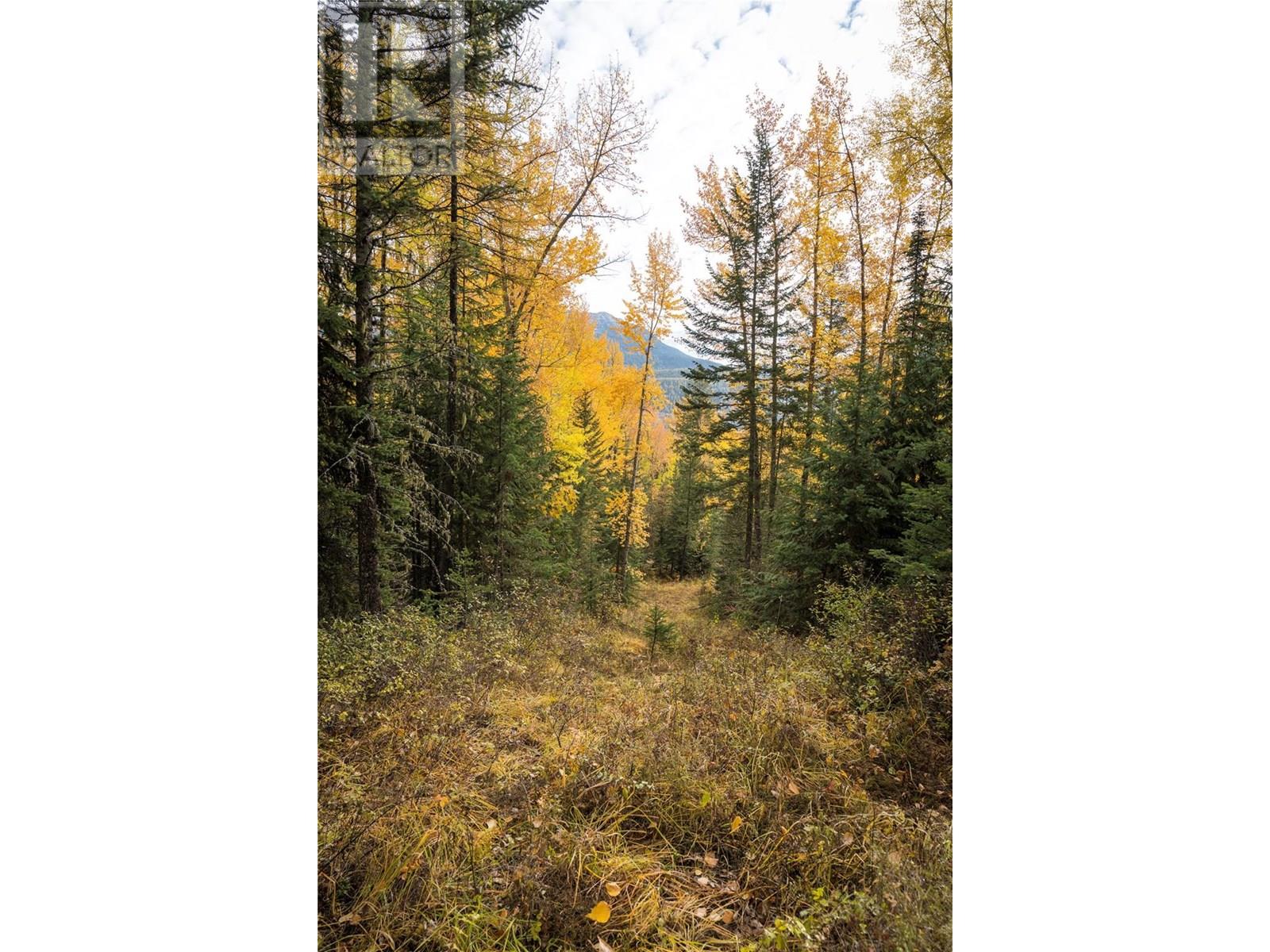 500 Burma Road Lot# 20, Fernie, British Columbia  V0B 1M0 - Photo 32 - 10355186