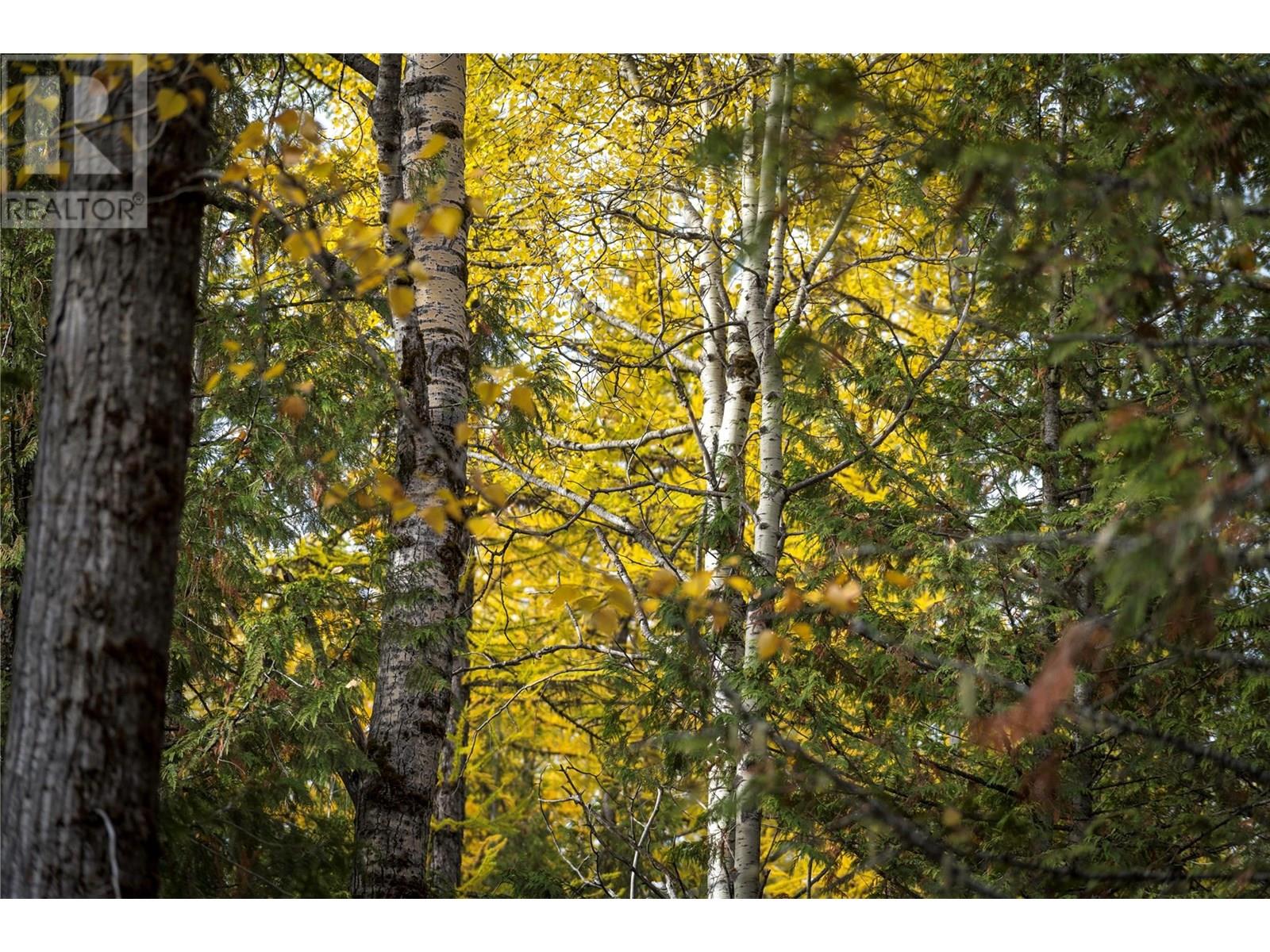 500 Burma Road Lot# 20, Fernie, British Columbia  V0B 1M0 - Photo 14 - 10355186